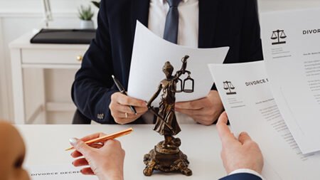 Expert Mentorship & Advisory